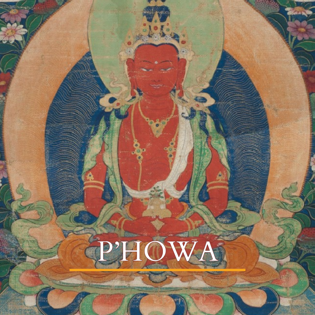 The programs featured image