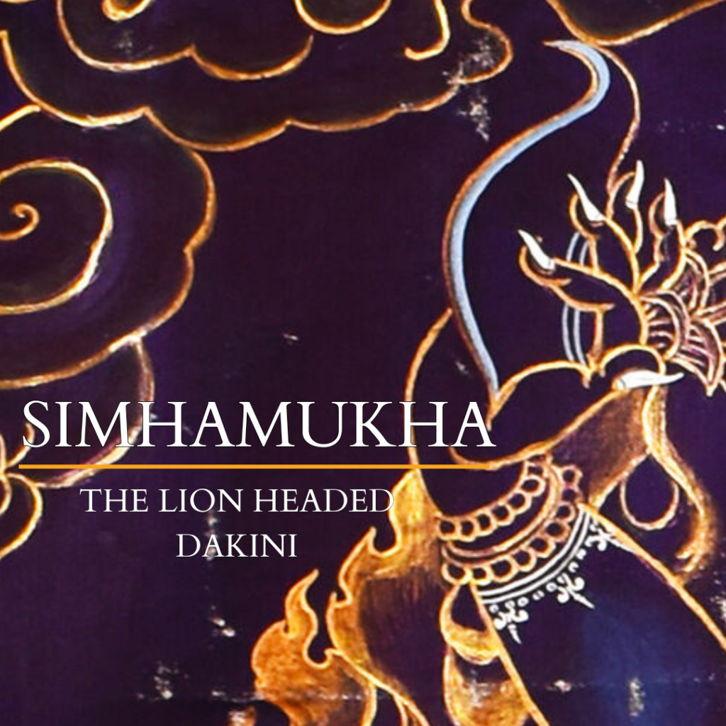 The programs featured image