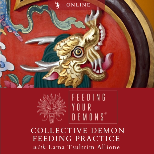 The programs featured image