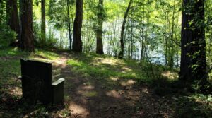 bench on westwood lake
