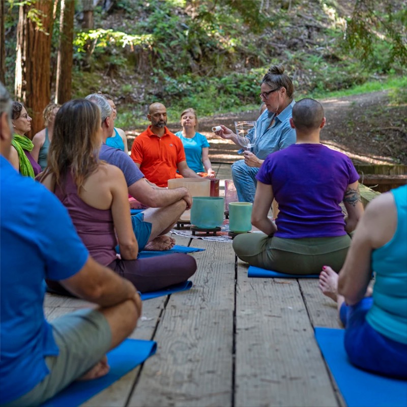 people experiencing a sound bath sitting on bridge in a redwood forest