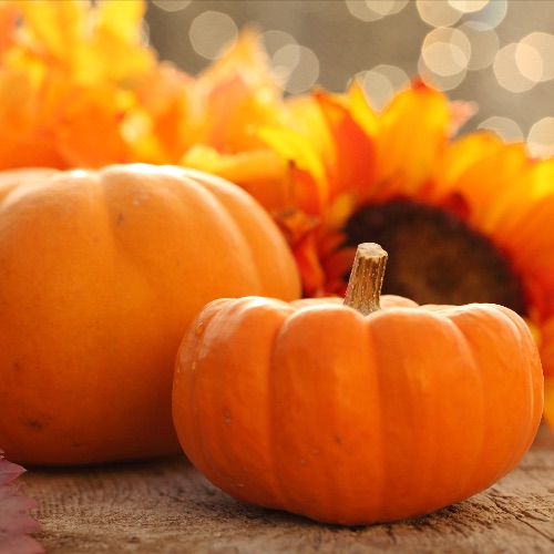 The programs featured image