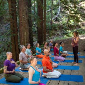 Meditation in the redwoods on the old bridge