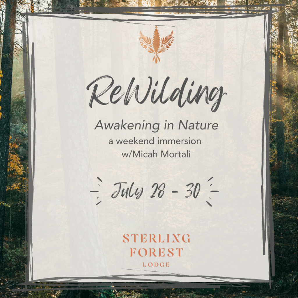 a poster of an event called Rewilding