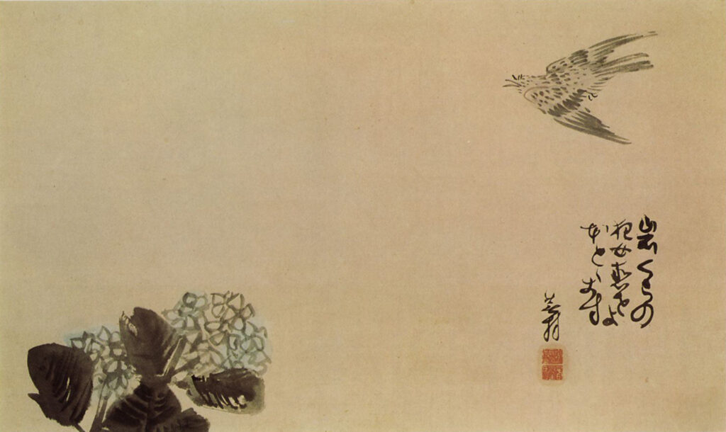 The programs featured image
