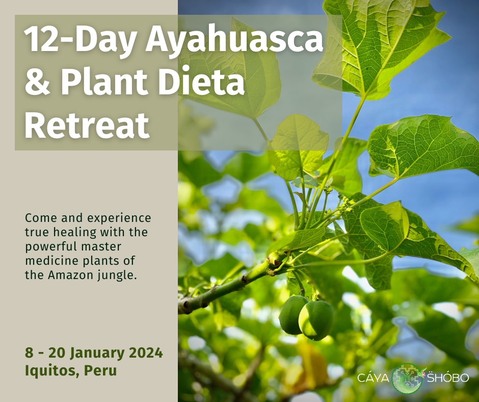 12Day Ayahuasca and Plant Dieta Retreat January 820, 2024