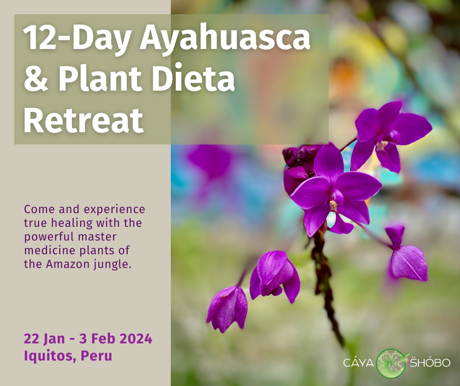 12Day Ayahuasca and Plant Dieta Retreat January 22 February 3, 2024