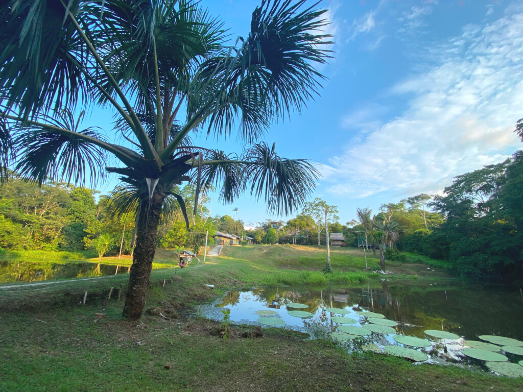 caya shobo ayahuasca healing retreat center peru plant dieta plant medicine knowledge