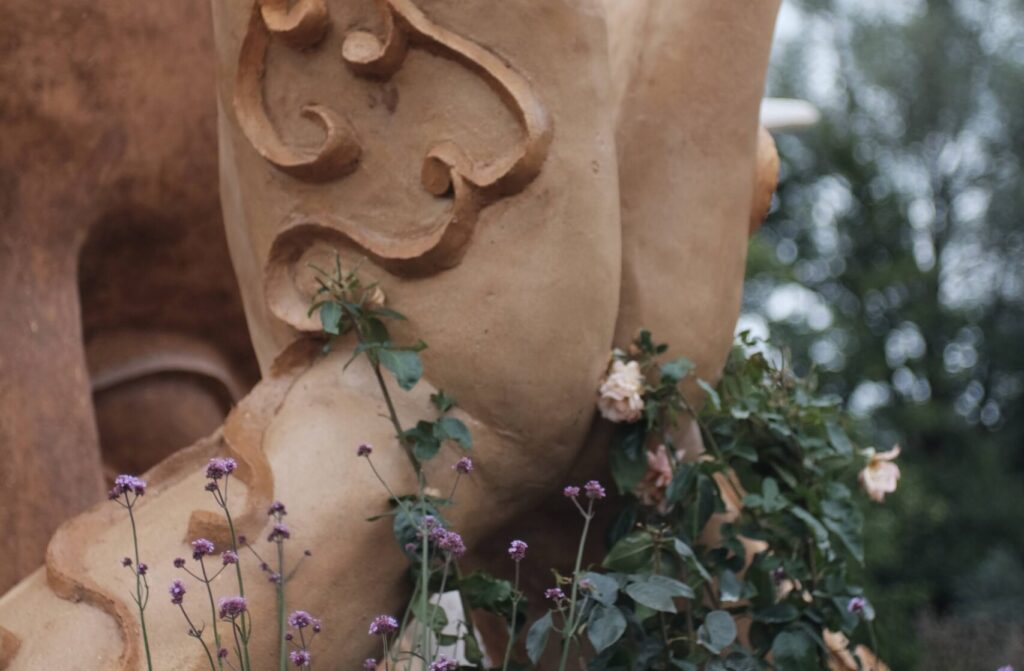 The programs featured image