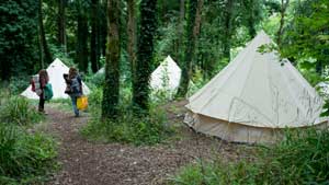 Woodland meditation retreats at The Sharpham Trust