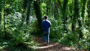 Woodland meditation retreats at The Sharpham Trust