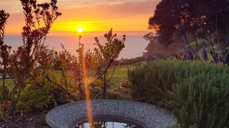 The programs featured image