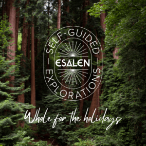 Self-Guided Explorations: Whole for the Holidays