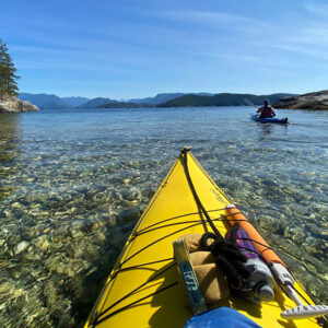 salish shorelines