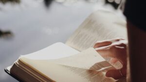 Person reading a book