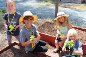 permaculture-kids-camp-garden