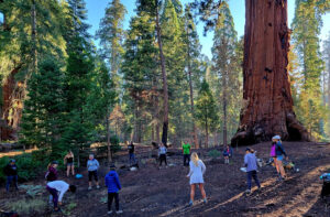 Qi Gong with Dr Alice Kerby at Sequoia