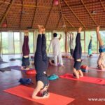 300 hours Advanced Yoga Teacher Training