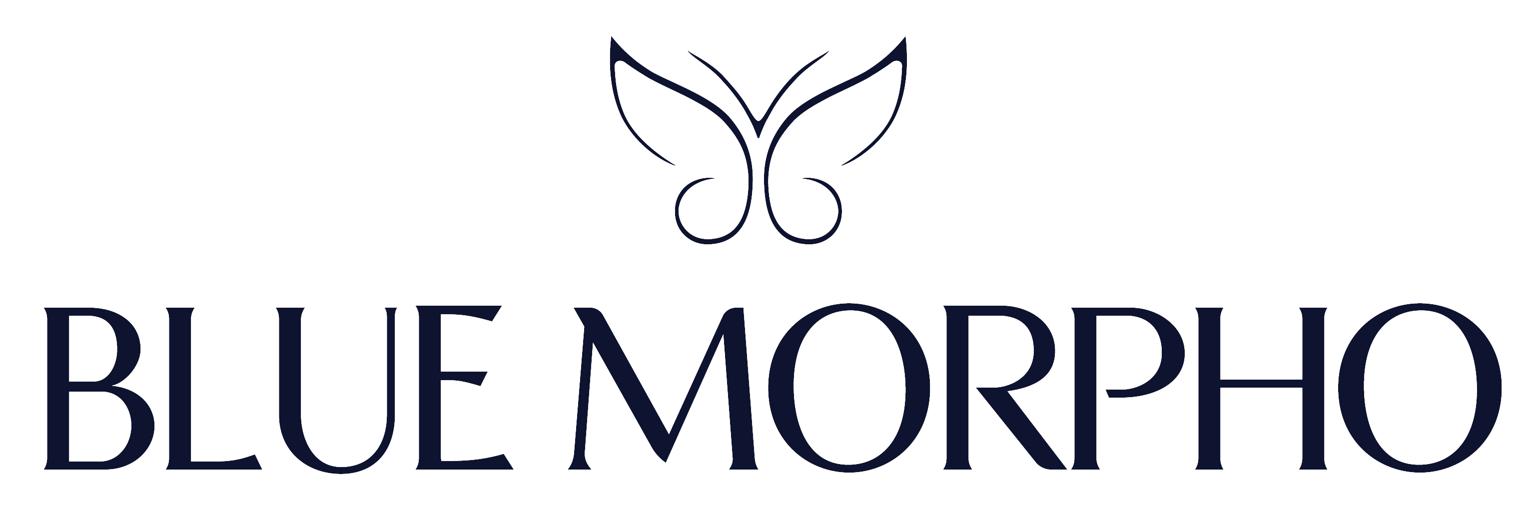 Blue Morpho Tours