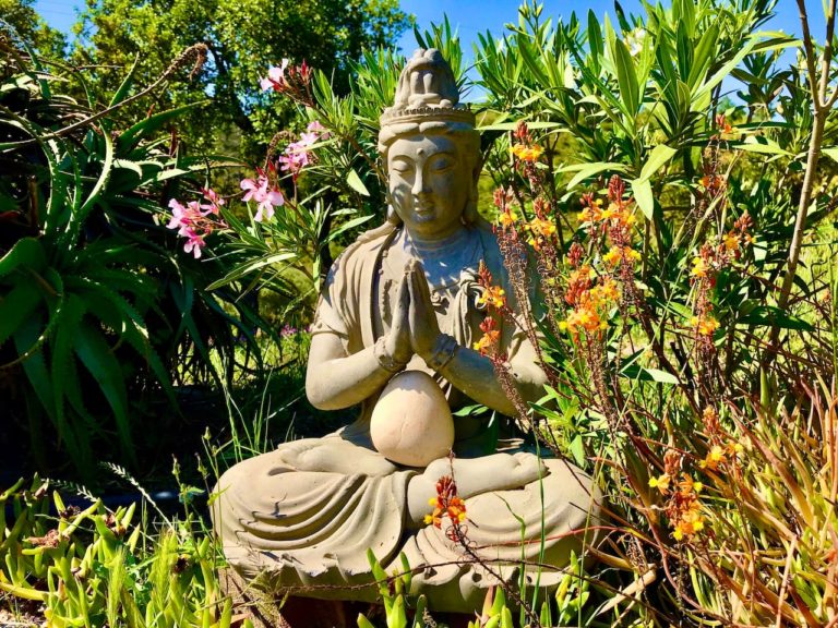 8 Day Ayahuasca Retreat in Portugal