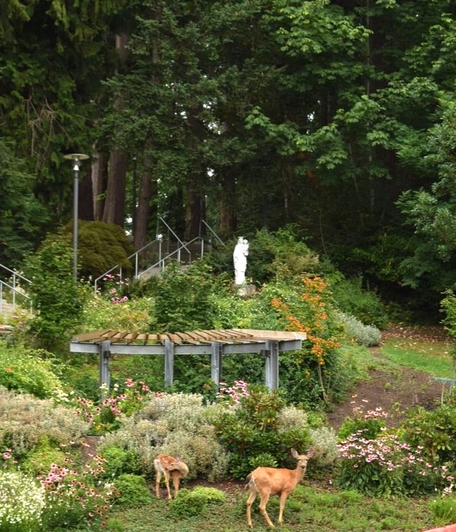 Solo Overnight Retreat