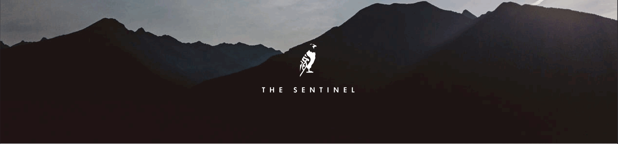 The Sentinel