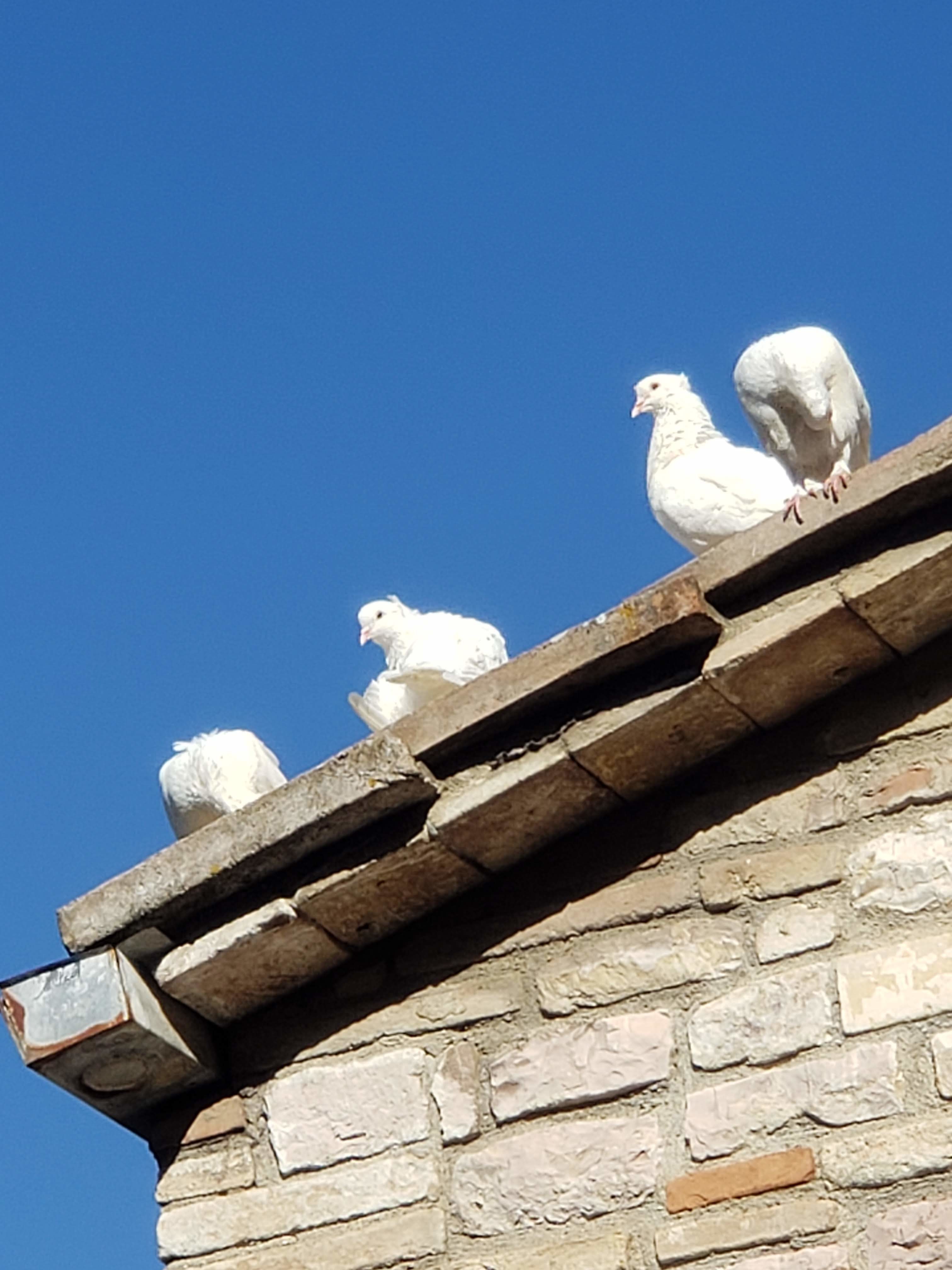 meditation-retreat-in-assisi