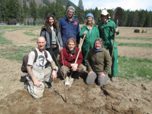 Food forest team