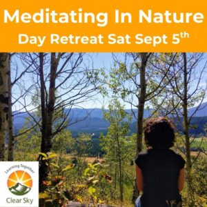 Meditating in Nature Day Retreat