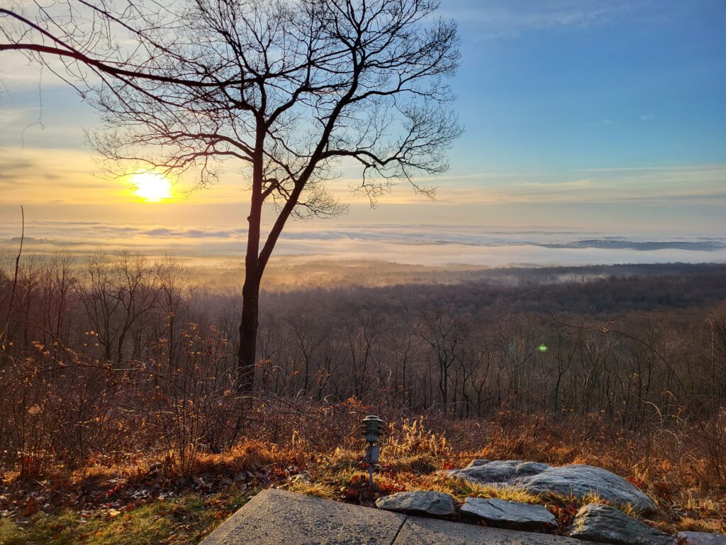 A single bare tree in the foreground before an early winter landscape.