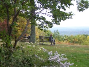 A person sits on a wooden bench under a tall tree looking out at a view.