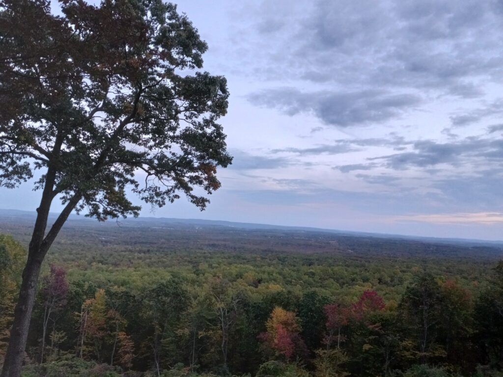 A dark tree in the foreground before the sky and ridge below.