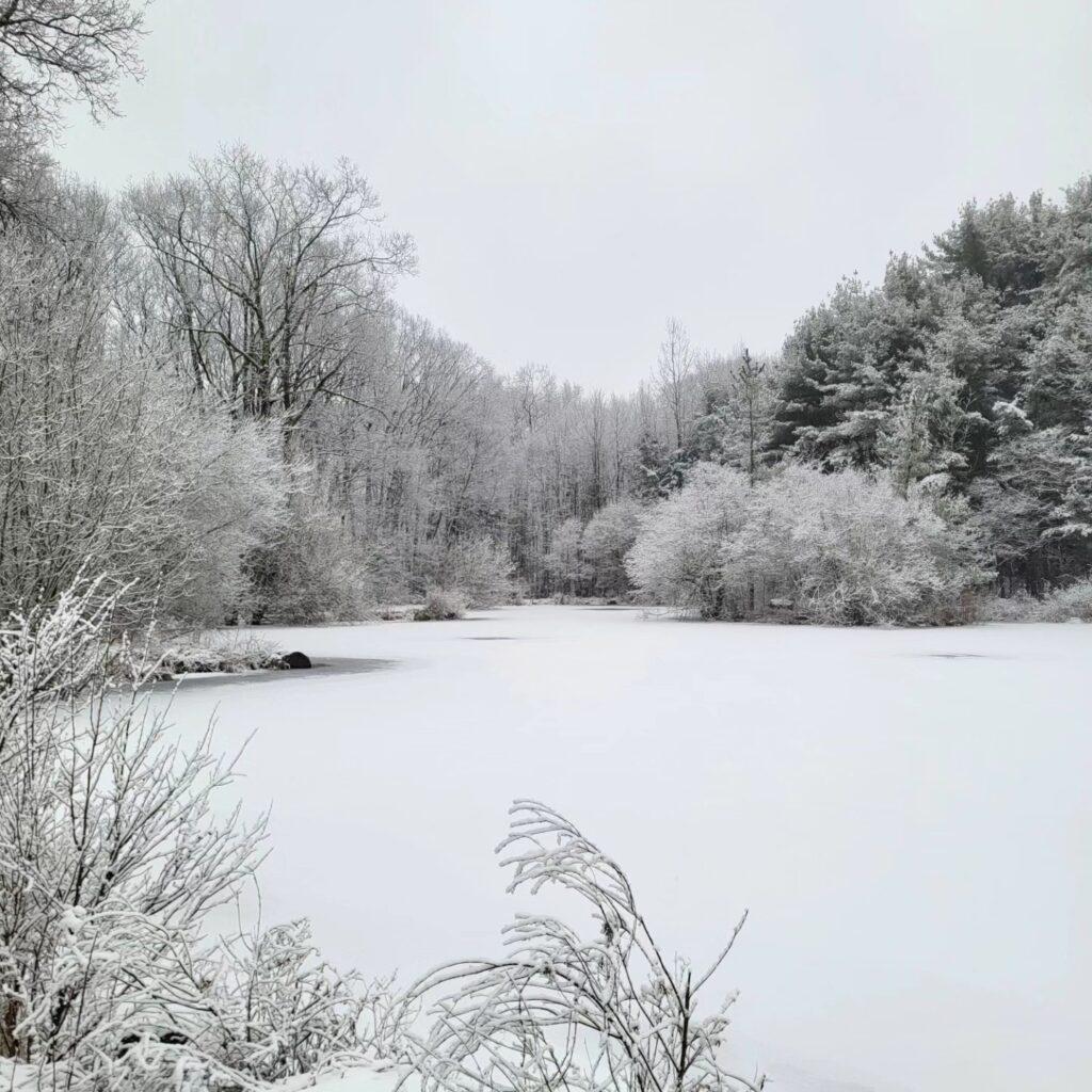 A frozen pond in the midst of trees, all covered in snow.