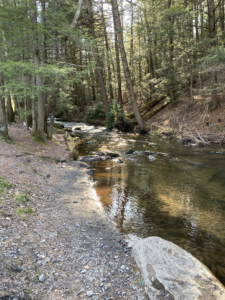 A riverbank with small crushed stones at the edge of the water and forest in the background.