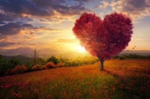 A heart-shaped tree in front of a sunrise.