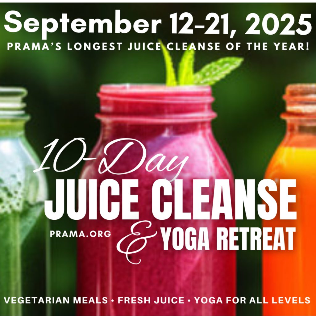 The programs featured image