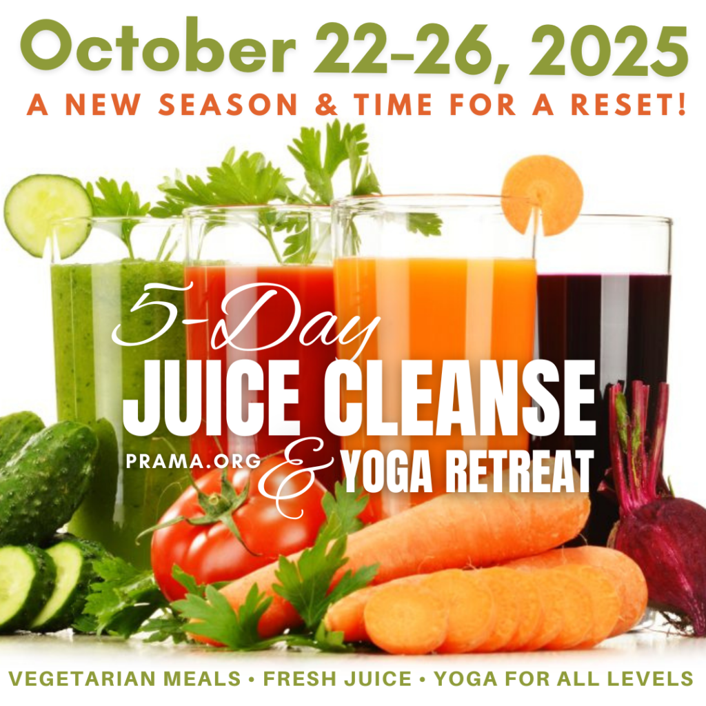 The programs featured image