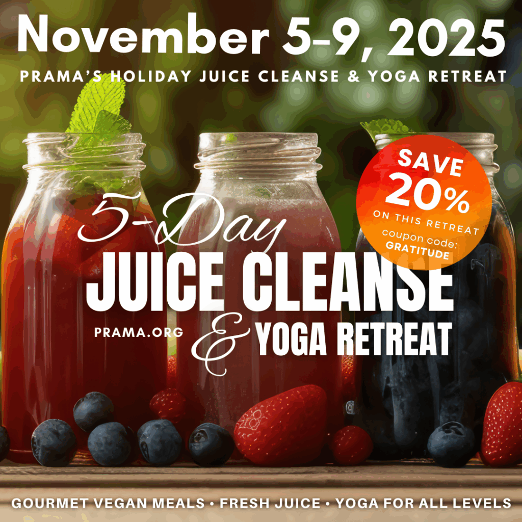 The programs featured image