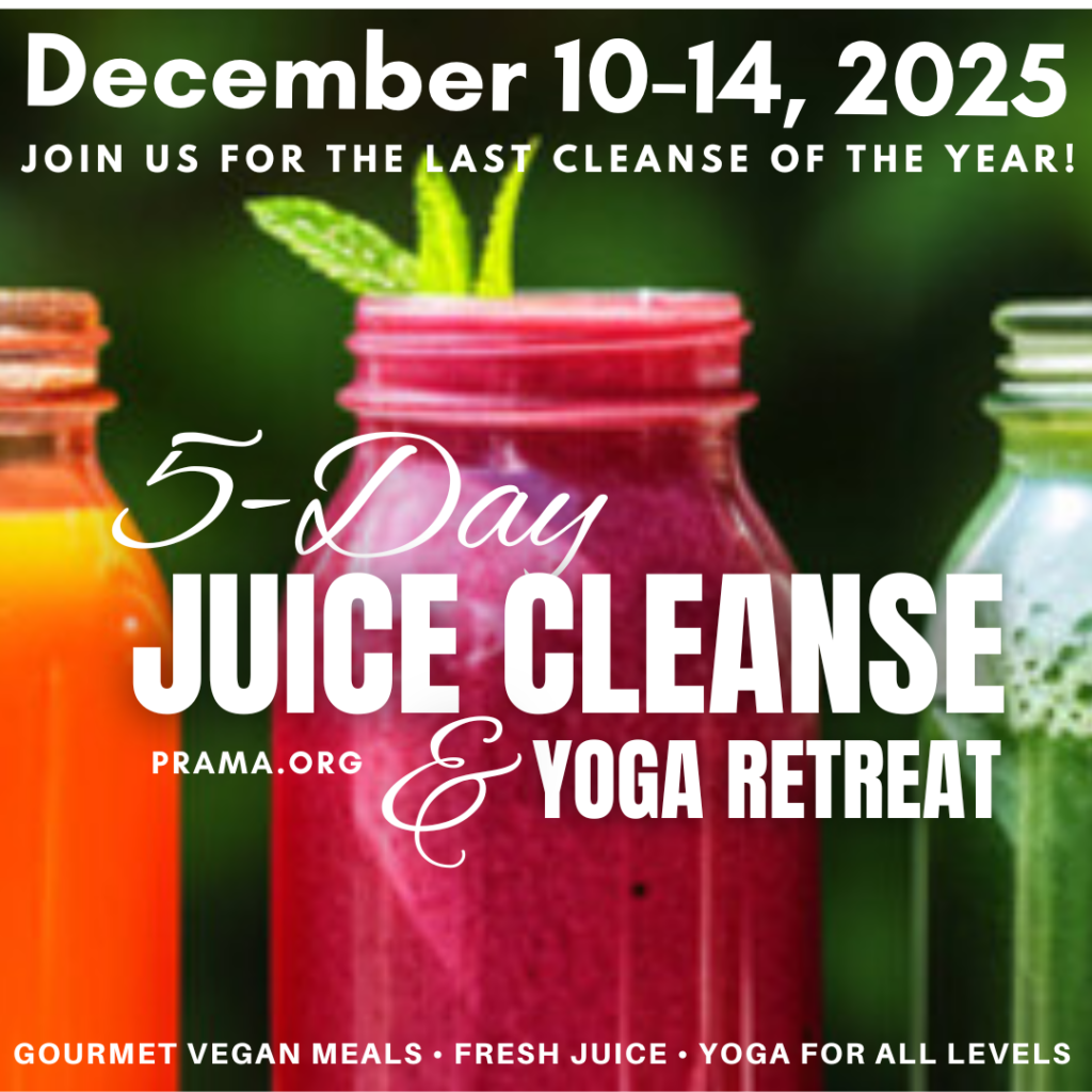 The programs featured image