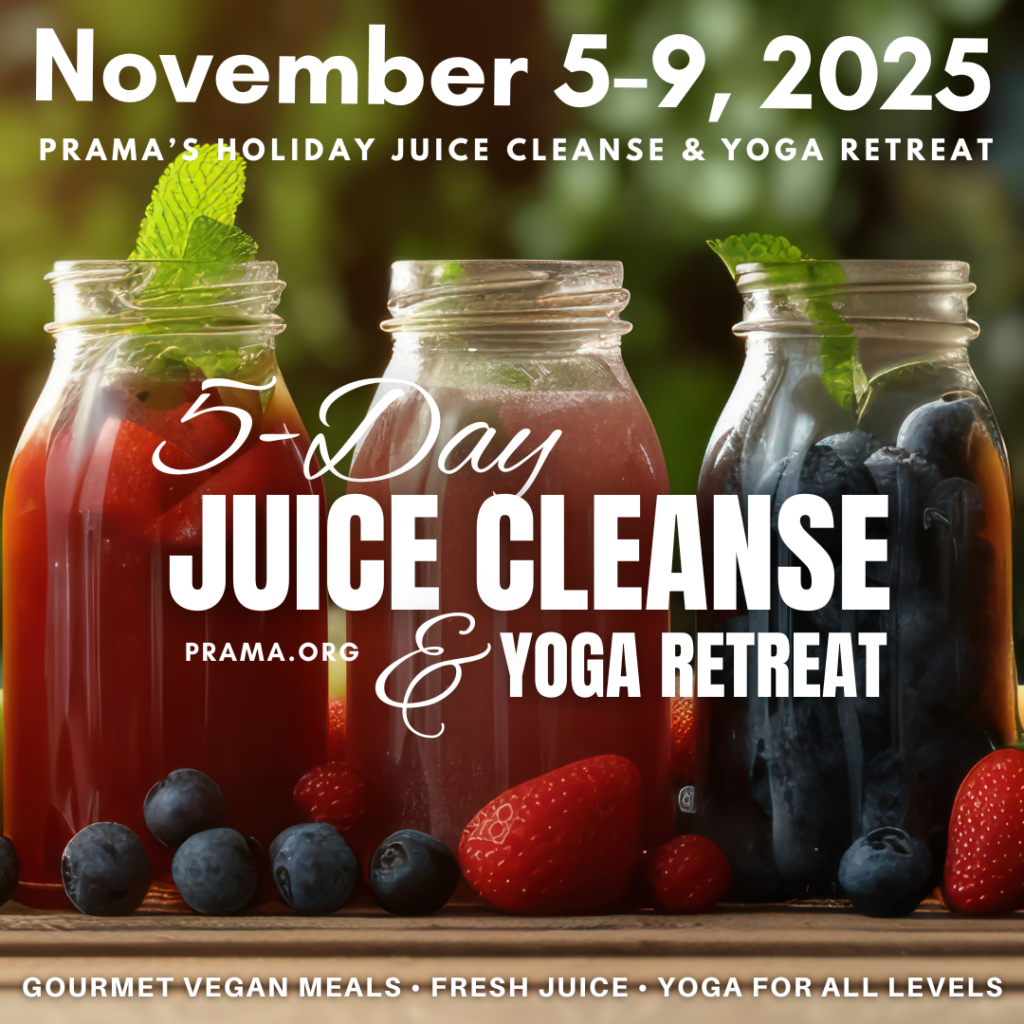 The programs featured image