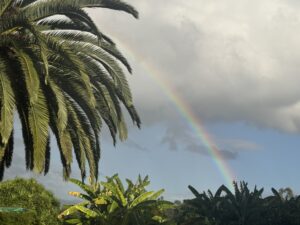 Mother's Day Retreat Santa Barbara, Califonia