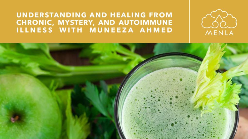 Understanding and Healing from Chronic, Mystery and Autoimmune Illness Retreat with Muneeza Ahmed this October 16th - October 20th, 2019 at Menla Retreat and Dewa Spa in Phoenicia, New York!