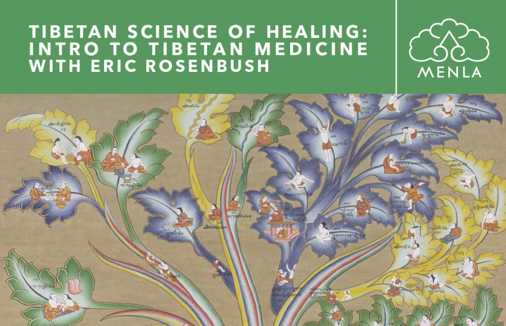 Introduction to the Healing Science of Tibetan Medicine Retreat with Eric Rosenbush happening this June 14th - 16th, 2019 at Menla Retreat and Dewa Spa in Phoenicia, New York!