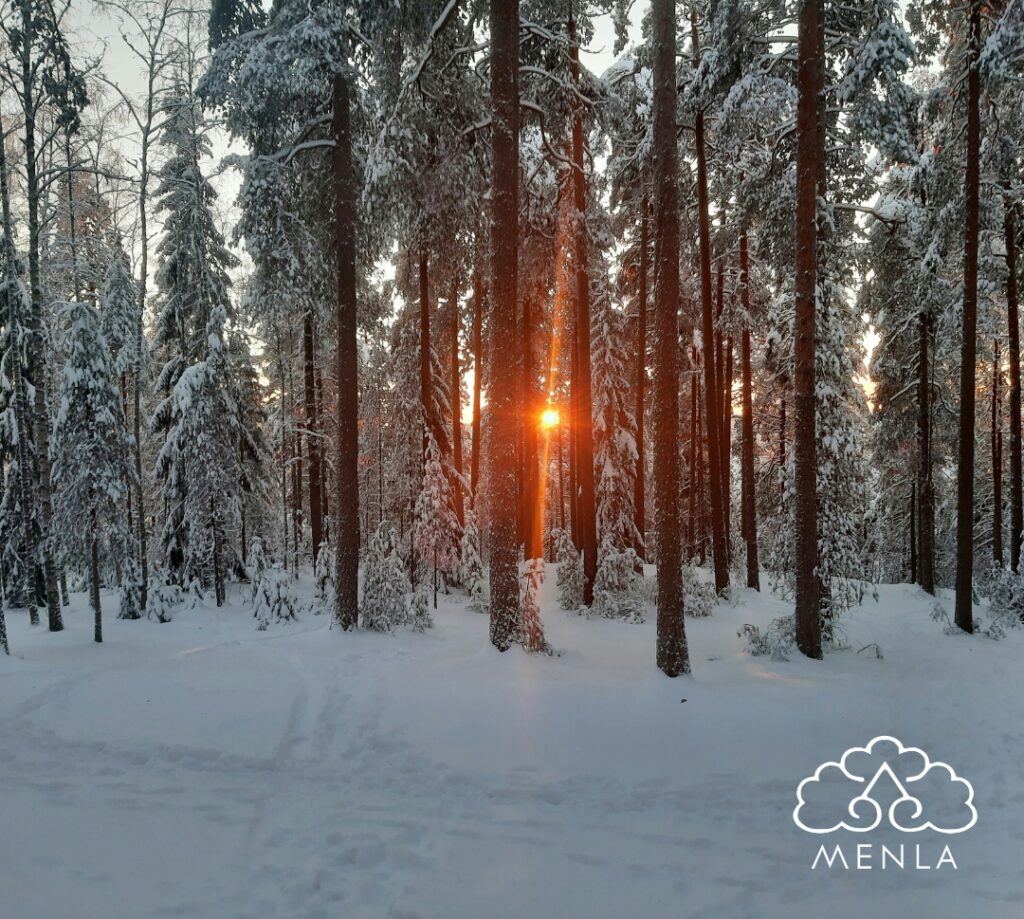 The programs featured image