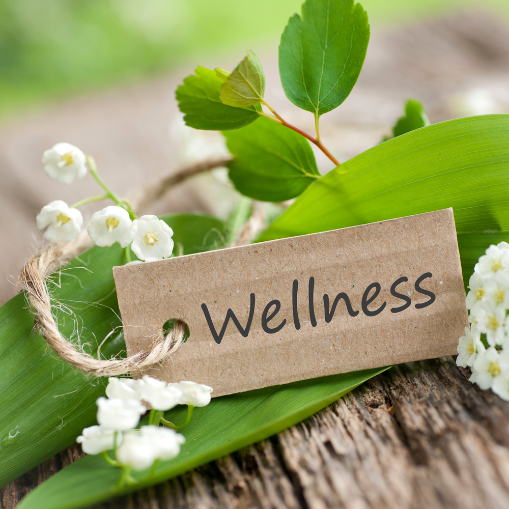 A tag saying "wellness" with a plant