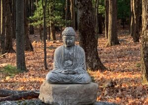 Stone Buddha Statue in the woods