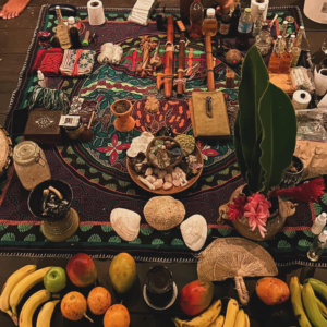 Ayahuasca Retreat, Cahuita, Costa Rica | Inner Flight Retreat