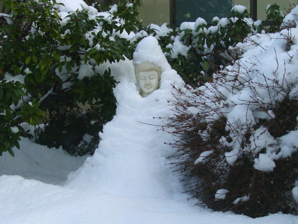 The programs featured image