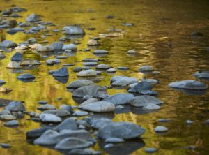 Writer's Retreat - Gail Anderson-Dargatz