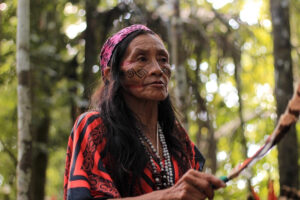 6-day Holistic Ayahuasca Retreat w/ Tuim Nova Era, Dona Txima & Yeke Kaya (Oct 14 - 19, 2025) | Avalon